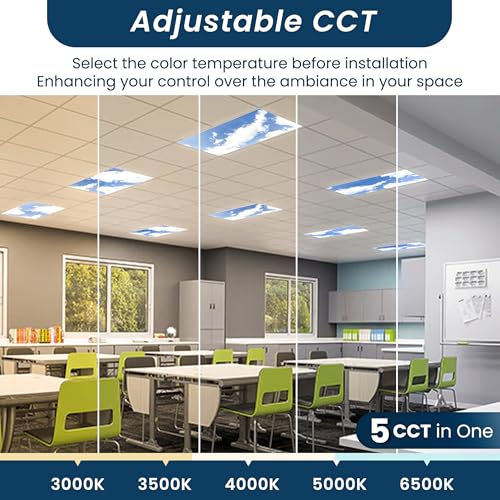 2 Pack 2x4 LED Flat Panel Light (2x4 FT - 2Pack)