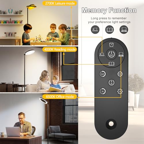 36W 2500lm Bright LED Floor Lamp for Living Room (Black)