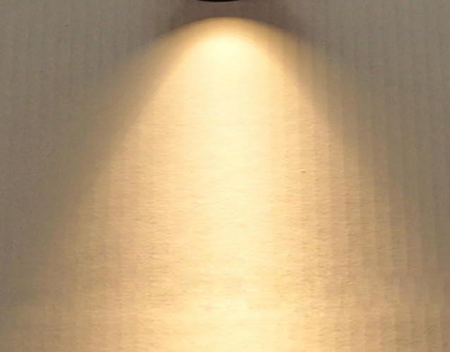 LED Ceiling Recessed Lights Flush Mount Lighting Anti