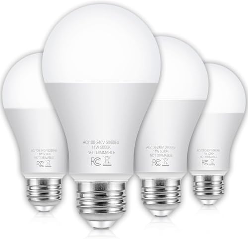 LED Light Bulbs 100 Watt Equivalent A19 Daylight White 5000K (5000k Daylight White / 4 Count (Pack of 1))