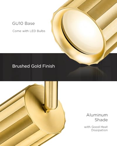 LED Track Lighting Fixtures (Sunflower, Brushed Gold / 31.8", 1-light)