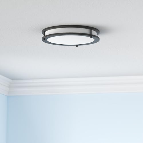 LED 18" Round Flush Mount Lighting (Black)