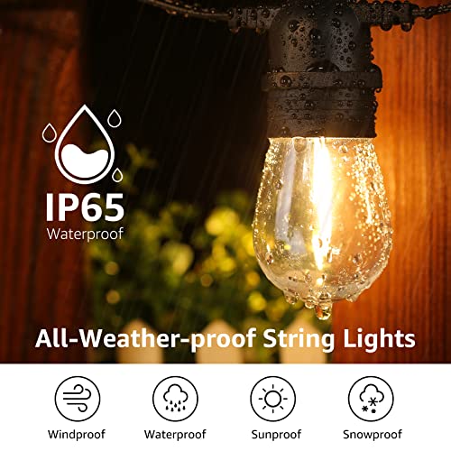 S14 Outdoor String Lights (50 ft S14)