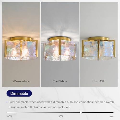 Drum Glass Ceiling Light