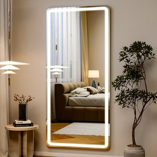 26x68 inch Full Length Mirror with Lights (68"L x 26"W)