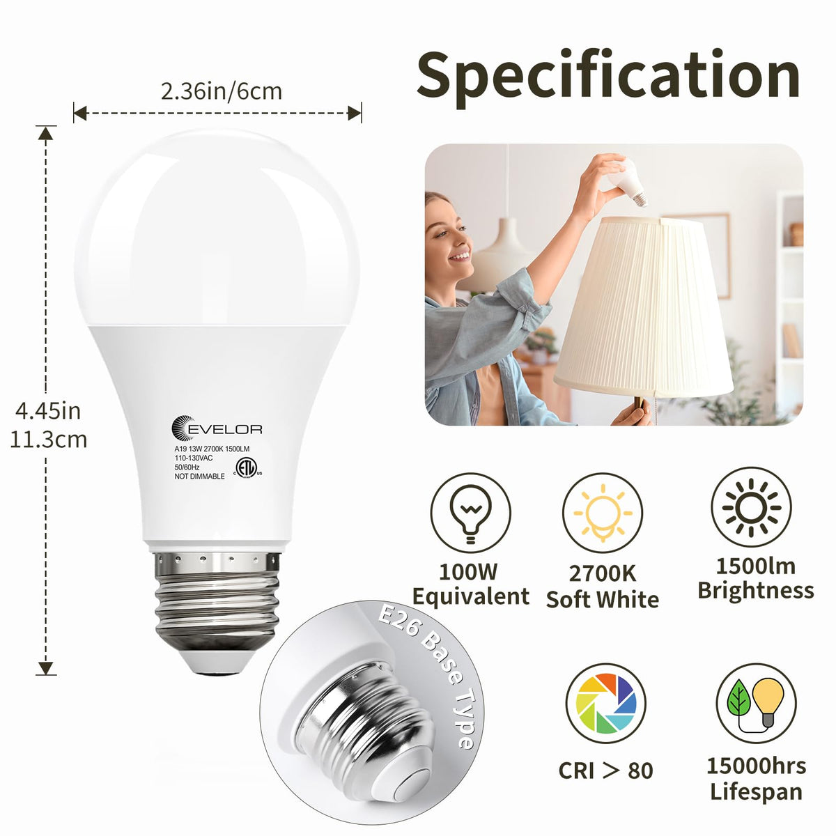 A19 LED Light Bulbs (Soft White 2700k / 24 Pcs)