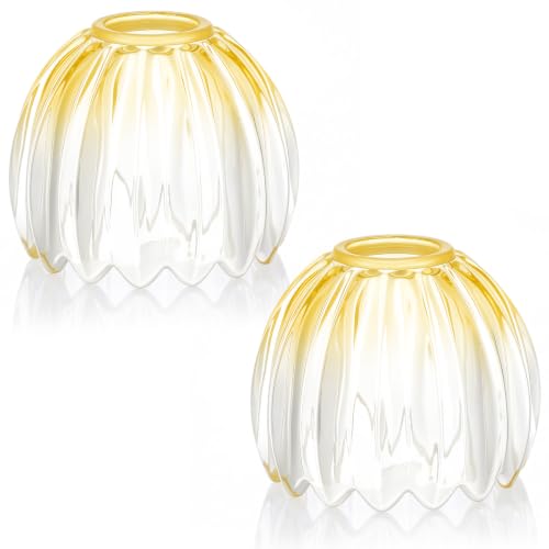 Glass Tulip Lamp Shade