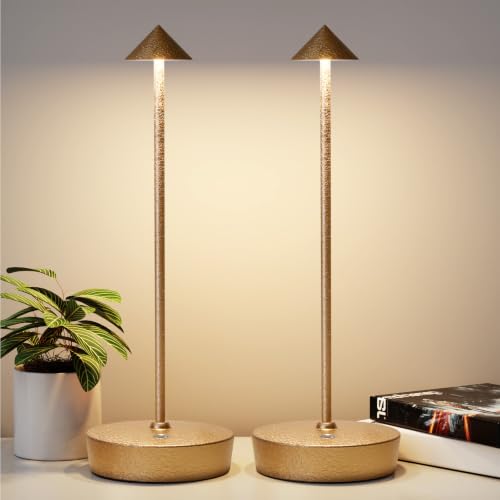 2Pack Rechargeable Cordless Table Lamp