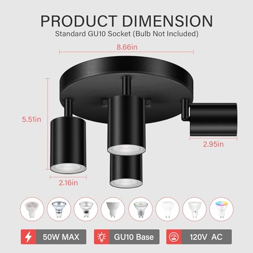LED 4 Light Track Lighting Kit (4 Light-Black)