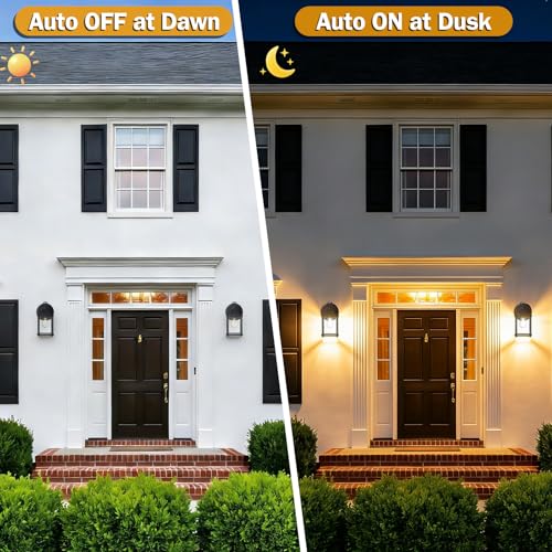 Outdoor Wall Light Fixture (Black / 2-Pack D2D)