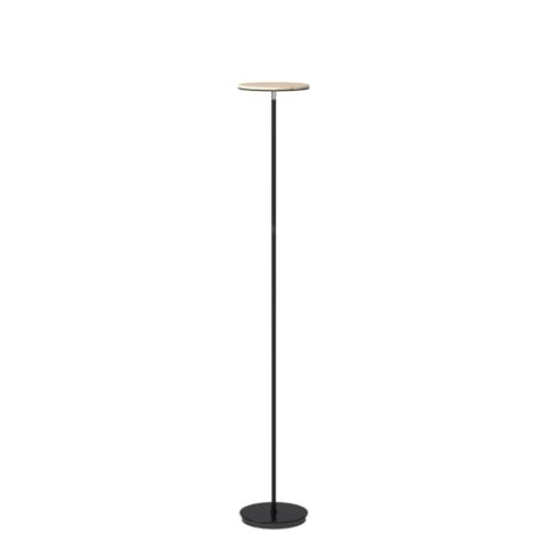 Sky Flux Dimmable LED Floor Lamp (Black)
