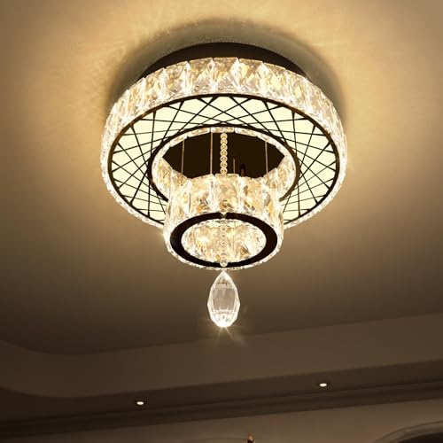 Chandelier Bedroom LED Light Modern Hallway Ceiling Lighting Fixtures for Kitchen Dining Room Kitchen Remote Dimmable Black Lights (16 inch / Black)