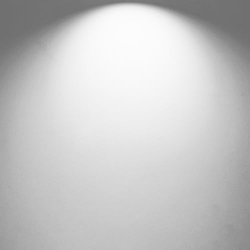 ST58 E26 LED Light Bulbs