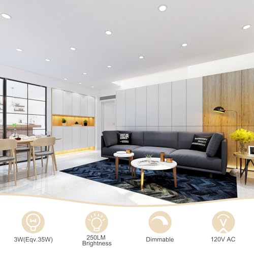 2 Inch LED Recessed Lighting (5000k (Daylight White) / 4 Pack (White))