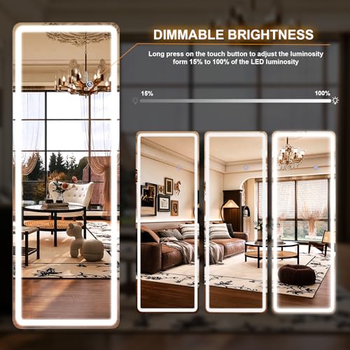 26x68 inch Full Length Mirror with Lights (68"L x 26"W)