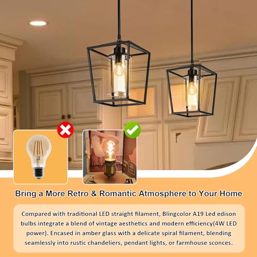 A19 Vintage LED Edison Bulbs
