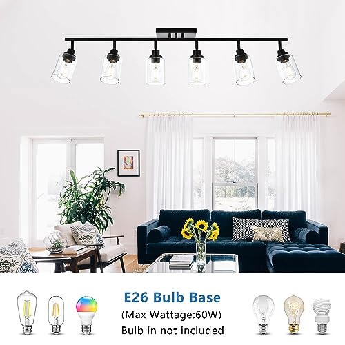 Ceiling Track Lighting Kits with Flexibly Rotatable Light Head (Black / 6-Light)
