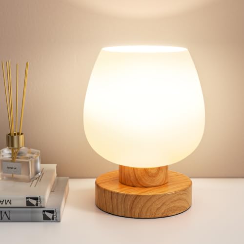 Small Touch Table Lamp for Nightstand