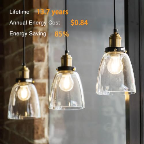 12 Pack A19 Vintage LED Edison Bulbs