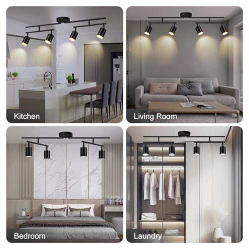 Black Track Lighting Kit (Black / 30" 4 Light Track Light)