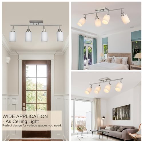 4 Light Track Lighting (Brushed Nickel / 4-Lights)