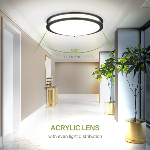 LED 18" Round Flush Mount Lighting (Black)