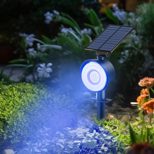 Solar Spot Lights Outdoor