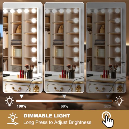 Vanity Mirror with Lights (White / 44"L x 30"W)
