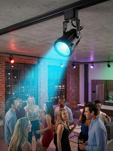 RGBW Track Lighting Heads 12W Multicolor Remote LED Track Lights Fixtures for Accent Retail Kitchen Artwork