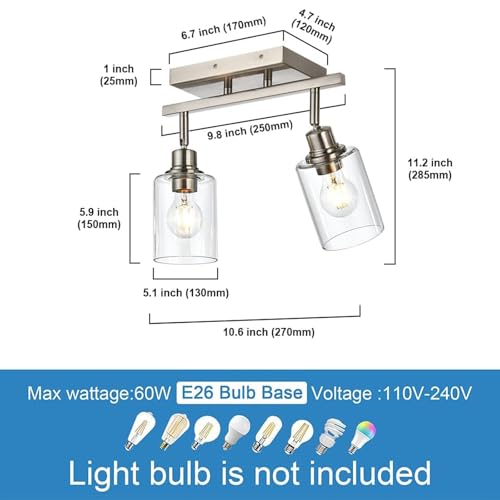 2 Light Track Lighting Fixtures Ceiling (Brushed Nickel / 2 Lights)