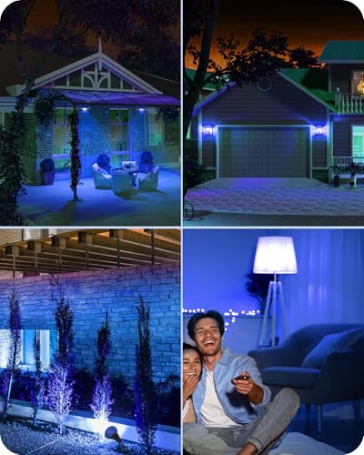 Hallowee PAR38 Blue Flood LED Light Bulbs (Blue)