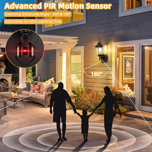 Porch Lights with Outlet (Black / 2 Pack)
