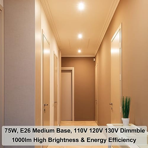 Halogen PAR30 Long Neck Flood Bulb Dimmable 75W 750LM 120V E26 6pcs (Par30-75W-6 Pack)