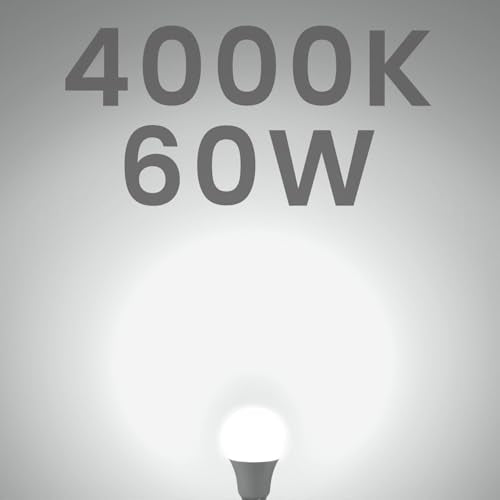 A19 LED Light Bulbs