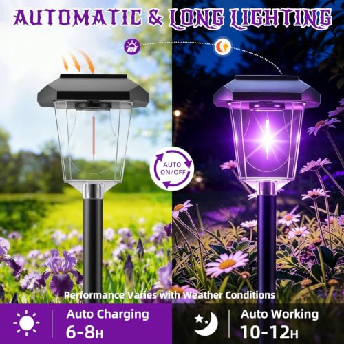 16Pack Purple Solar Halloween Lights outdoor (Purple)