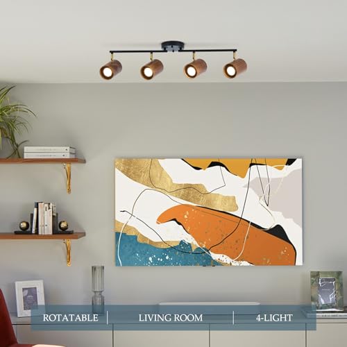 Modern 4 Light Track Lighting Kit (4-Light)