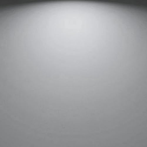 A19 8W Light Bulbs