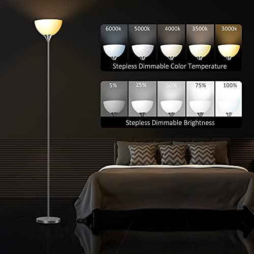 Floor Lamp Remote Control with 4 Color Temperatures (Brushed Nicke)