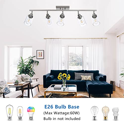 5 Light Multi (Brushed Nickel / 5-Light)