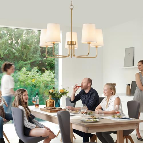 Chandelier with Shade