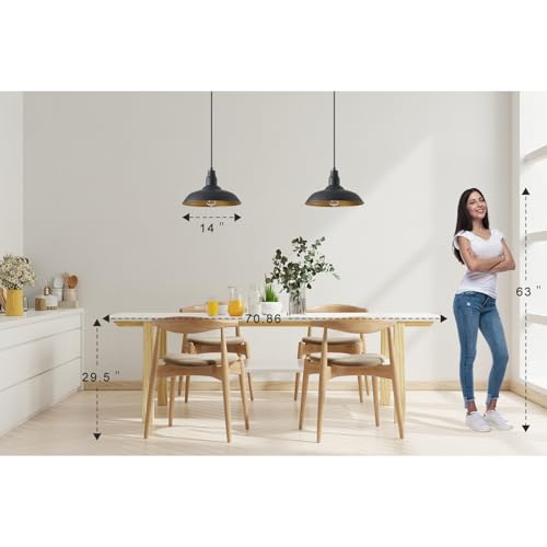 Farmhouse Pendant Lights with Large 14 Inch Dome (Matte Black / 14" Dome)