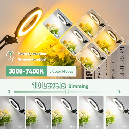 Magnifying Glass with Light and Clamp (4.2IN-2)