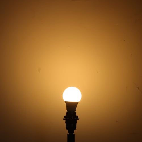 A19 LED Light Bulbs 11W