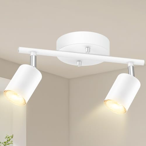 LED 2 Light Track Lighting Kit (2 Light-White)