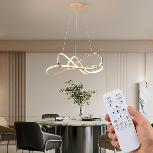 Modern Led Ceiling Light