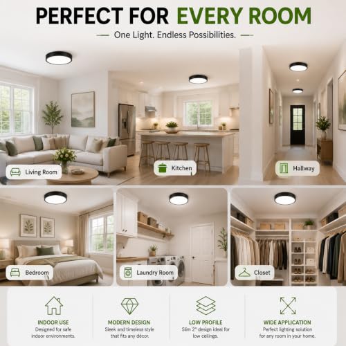 Matte Black Flush Mount Ceiling Light