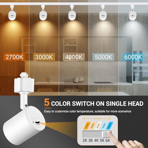 5-Color 12-Light LED Track Lighting Kit with 13FT Rails, 10W White (White / 12 Lights)