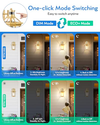 Gold Outdoor Wall Lights with Motion Sensor (Gold / Standard 1-Pack)