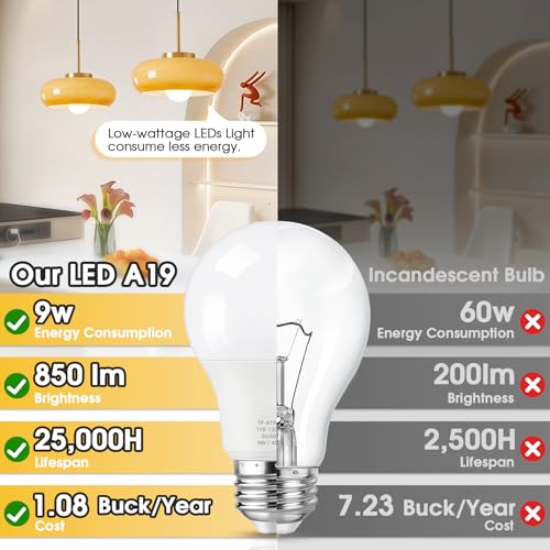 A19 LED Light Bulbs (Neutral White)
