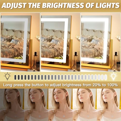Vanity Mirror with Lights 22''x18'' Makeup Mirror with Lights (Gold / 22"L x 18"W)